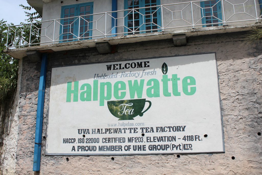 Sri Lanka - UVA Halpewatte Tea Factory 