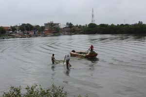 Negombo River
