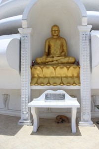 Peace Pagoda 