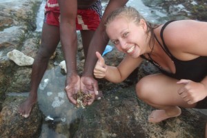 Milous catch of the day, a baby Lionfish