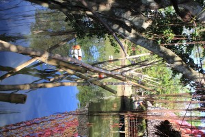 IMG 9789